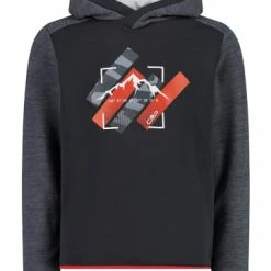 Budget 👍 Fleecejacken & -pullover CMP Fleecehoodie In Schwarz Günstig Kaufen 👍