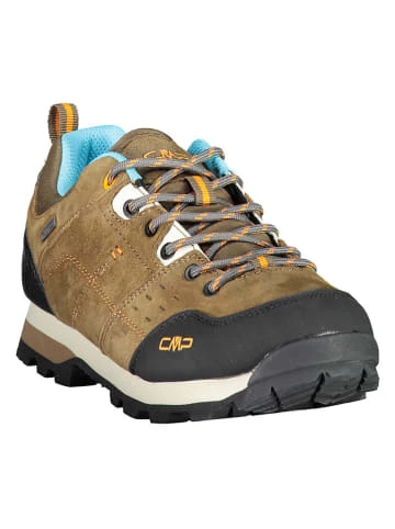 Beste Bewertungen von 🎁 Outdoor- & Sportschuhe CMP Leder-Trekkingschuhe "Alcor" In Braun Günstig Kaufen ✨